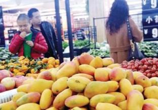 大庆：水果新旧交替 品样繁多 ()