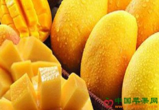 山东济宁：南方水果销售火爆 ()