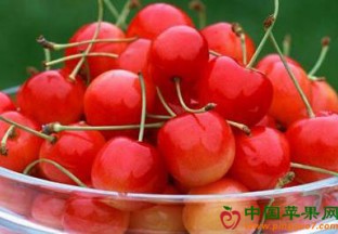 重庆：春令水果新鲜高价 ()