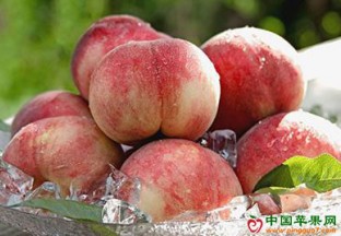 河北顺平：全力打造鲜桃产业链 ()