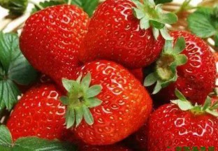 山东青岛：草莓价格断崖下滑 ()