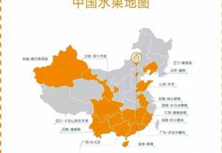 哪些水果在推动全球水果贸易？ ()