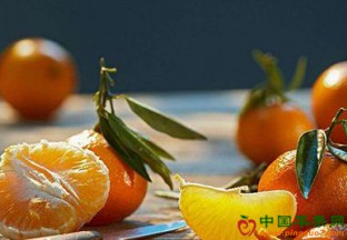 浙江象山：实施红美人柑橘三年行动计划 ()