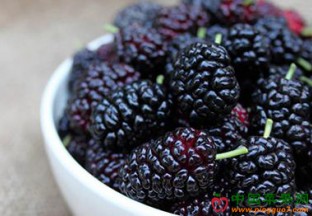 广西灵川：桑葚红了 ()