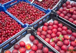 鲜果上市 价格略高 ()