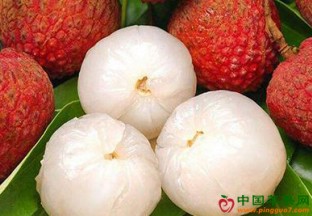 海南海口：火山荔枝月活动即将启动 ()