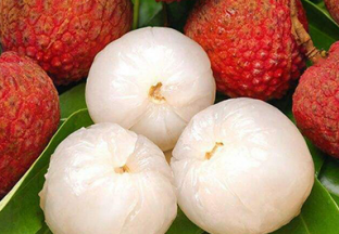 海口火山荔枝已签订单及销售近5亿 ()