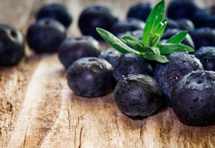 广西灌阳：大力扶持蓝莓产业发展 ()