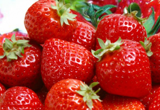 贵州安顺：草莓带动百姓致富 ()