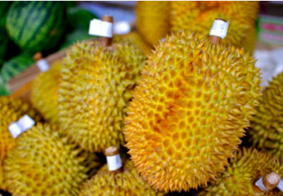 山东青岛：夏季榴莲需求量大 ()