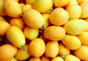 台州6万余亩枇杷今年再丰收 ()