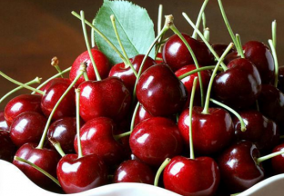 智利樱桃出口五年内将再次翻番 ()