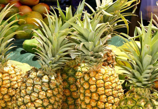 海口琼山：多方携手拓宽菠萝销路 ()