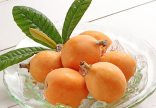 浙江宁波：第十二届枇杷文化节开幕 ()