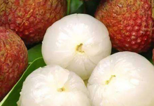 海南海口：荔枝助百姓脱贫致富 ()