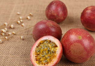 广西玉林：百香果新采季开启 ()