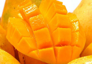 广西田东：芒果产业快速发展 ()