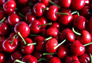 山东济阳：露天樱桃开始大量上市 ()