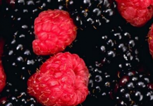 新疆伊犁：林果帮助农民致富 ()