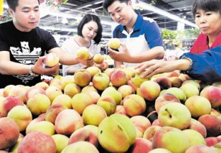 天津：时令水果大量上市 ()