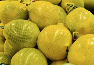 广西环江：红心香柚帮助百姓脱贫 ()