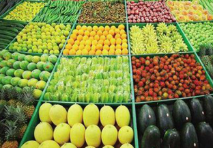 山东商河：大力推进特色林果产业发展 ()