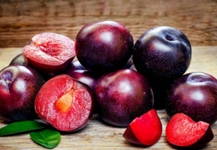 重庆合川：李子喜获丰收 ()