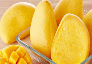 海南东方市：芒果面临滞销困境 ()