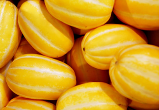 上海：打造七宝黄金瓜地理标识 ()