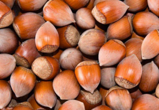 黑龙江通河：“榛”产业帮助百姓致富 ()