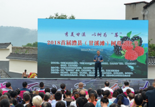 湖南澧县：首届树莓文化节开幕 ()