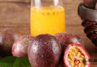 广西柳州：百香果成就致富路 ()