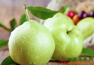 湖北早熟梨获全国大奖 ()