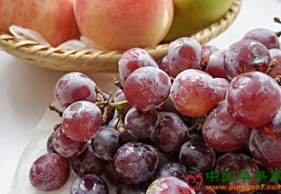 上海市夏季优质果品推介会召开 ()