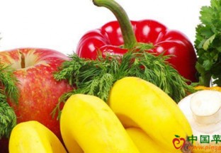 西藏：果蔬丰收迎客来 ()