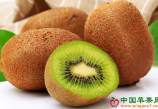 广西乐业：红心猕猴桃上市交易 ()