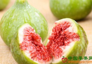 上海崇明：覆膜栽培无花果市场热销 ()