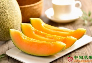 新疆淖毛湖哈密瓜：好品质赢得市场 ()