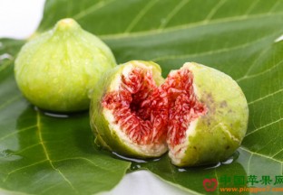 天津双口镇：一村一品 打造天津百姓“大果盘” ()