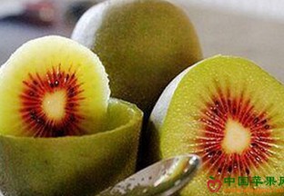 安徽岳西：古坊乡红心猕猴桃丰收 ()