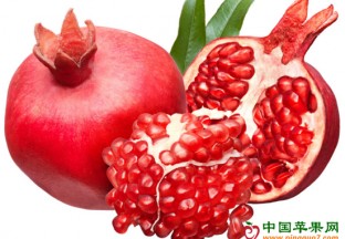 河南淅川县：软籽石榴助农致富 ()