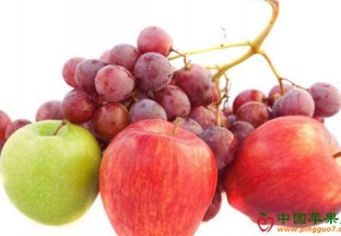 云南麒麟区：努力打造水果产业绿色品牌 ()