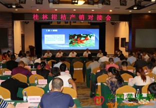 广西桂林：柑桔产销对接会顺利召开 ()