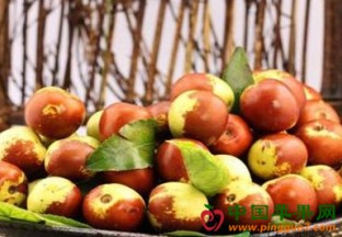 重庆云阳：秋令水果受热捧 ()