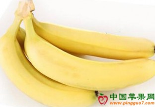 菲律宾香蕉：出口量增加 利润偏低 ()