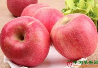 山东济宁：秋令水果涨跌不一 ()