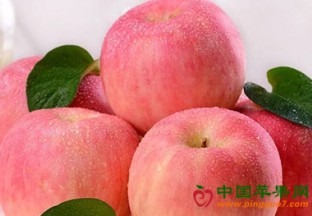 甘肃：因减产 苹果价格普涨 ()