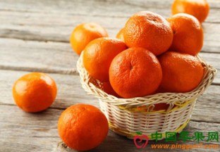 江苏大丰：苹果橘子受热捧 ()