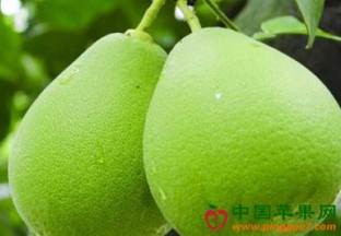 江苏南通：时令水果热销 ()