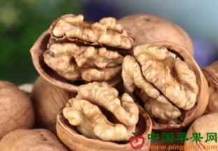 新疆麦盖提：核桃成“致富果” ()